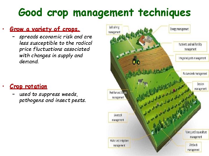 Good crop management techniques • Grow a variety of crops. – spreads economic risk