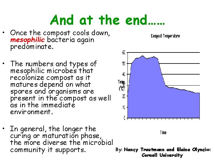 And at the end…… • Once the compost cools down, mesophilic bacteria again predominate.