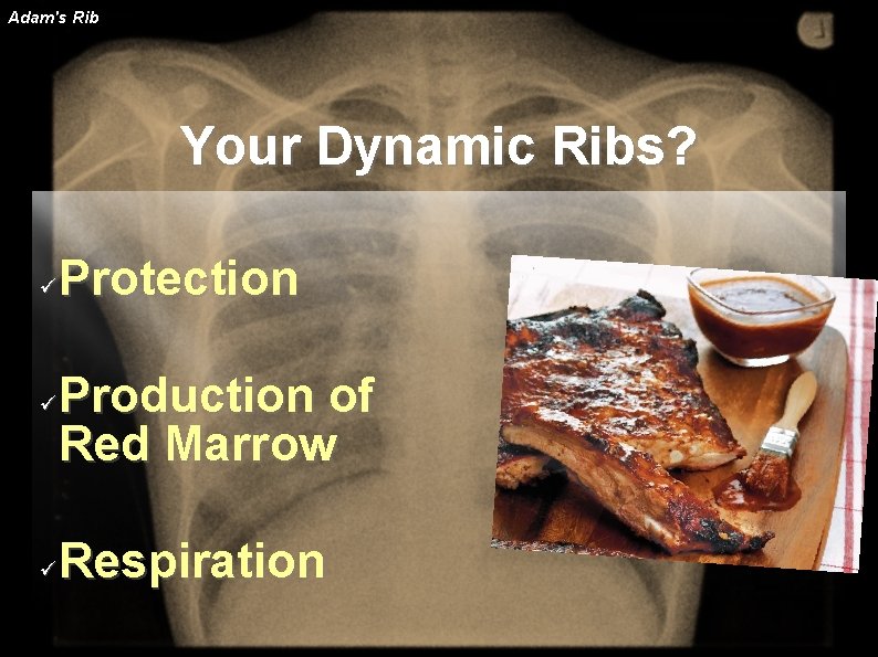 Adam's Rib Your Dynamic Ribs? Protection Production of Red Marrow Respiration 