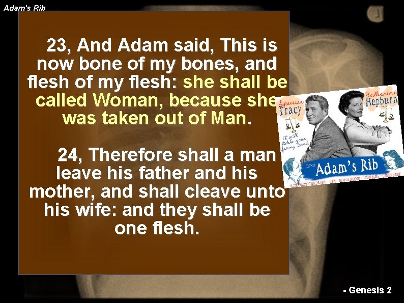 Adam's Rib 23, And Adam said, This is now bone of my bones, and