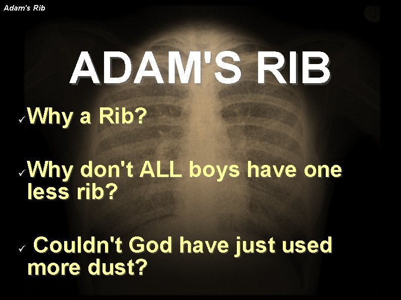 Adam's Rib ADAM'S RIB Why a Rib? Why don't ALL boys have one less