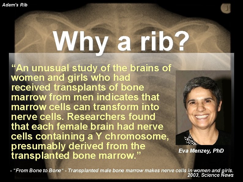 Adam's Rib Why a rib? “An unusual study of the brains of women and