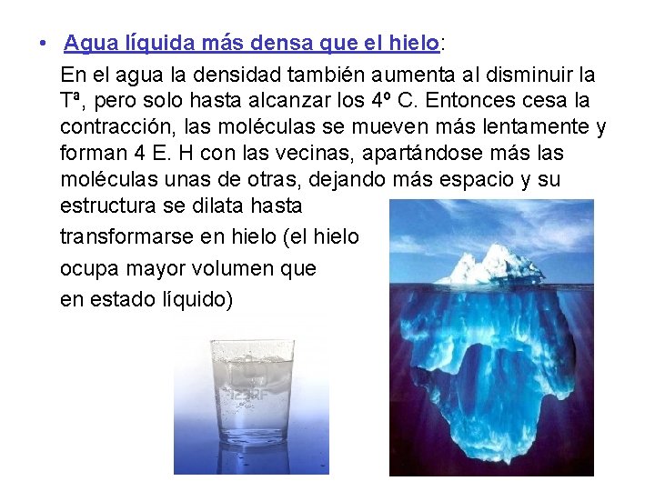  • Agua líquida más densa que el hielo: En el agua la densidad