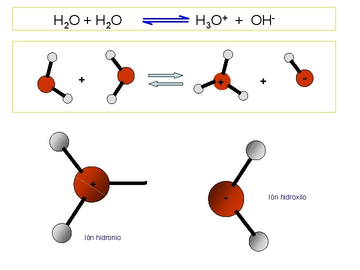 H 2 O + H 3 O+ + OH- + + Ión hidronio - H 2 O + H 3 O+ + OH- + + Ión hidronio -