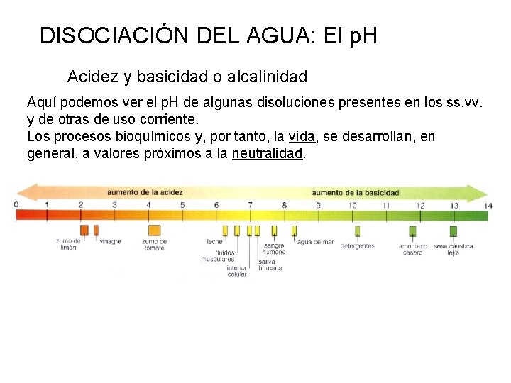 DISOCIACIÓN DEL AGUA: El p. H Acidez y basicidad o alcalinidad Aquí podemos ver DISOCIACIÓN DEL AGUA: El p. H Acidez y basicidad o alcalinidad Aquí podemos ver