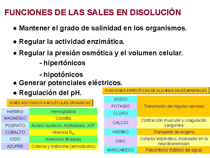 FUNCIONES DE LAS SALES EN DISOLUCIÓN ● Mantener el grado de salinidad en los