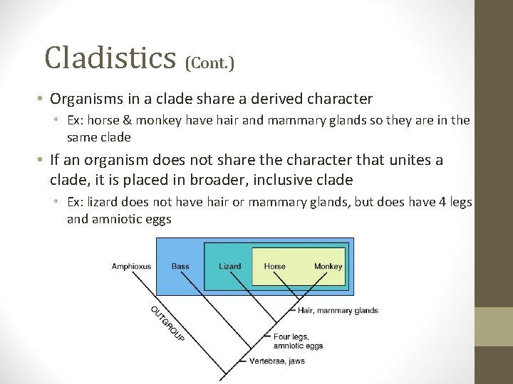 Cladistics (Cont. ) • Organisms in a clade share a derived character • Ex: