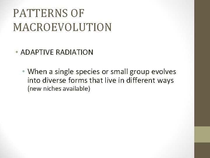 PATTERNS OF MACROEVOLUTION • ADAPTIVE RADIATION • When a single species or small group