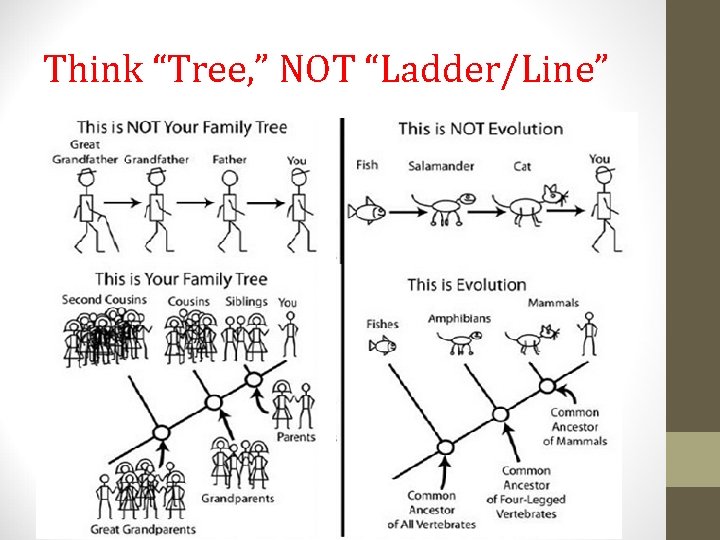 Think “Tree, ” NOT “Ladder/Line” 