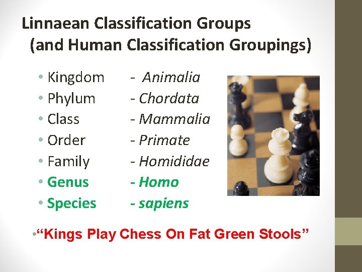 Linnaean Classification Groups (and Human Classification Groupings) • Kingdom • Phylum • Class •