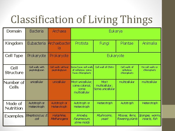 Classification of Living Things Domain Bacteria Archaea Eukarya Kingdom Eubacteria Archaebacter ia Cell Type