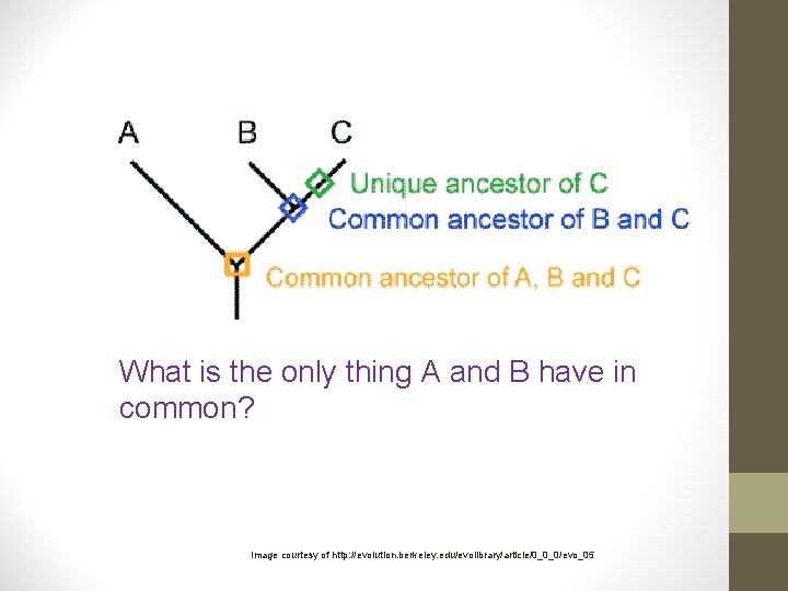 What is the only thing A and B have in common? Image courtesy of