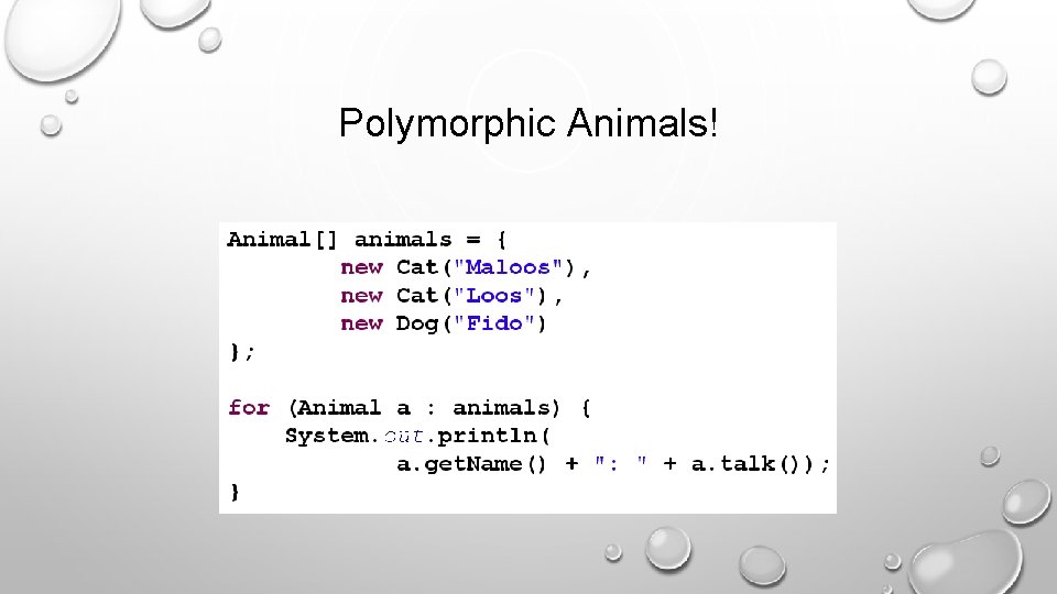 Polymorphic Animals! 