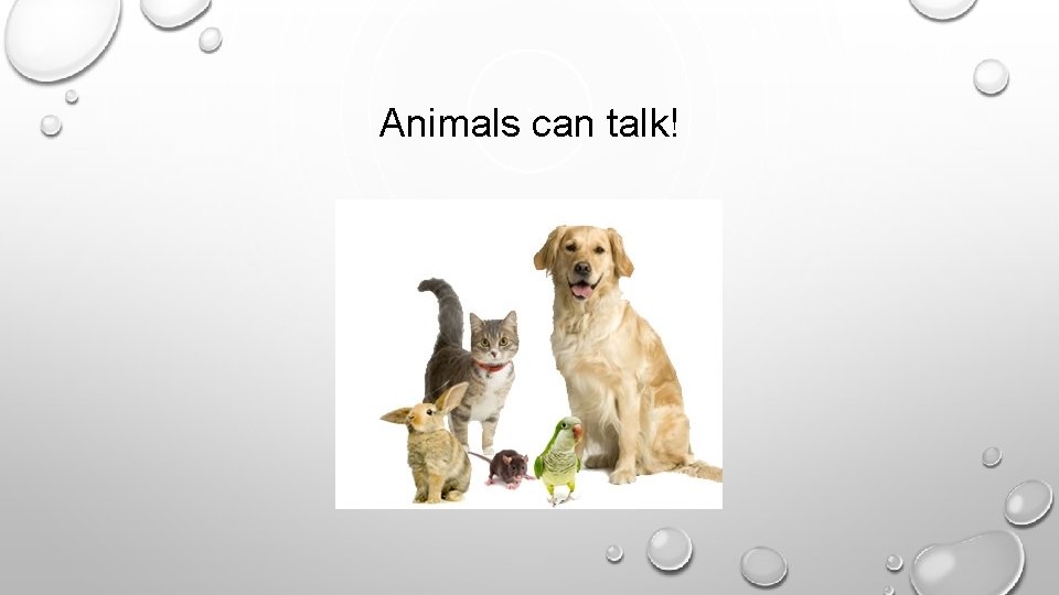 Animals can talk! 