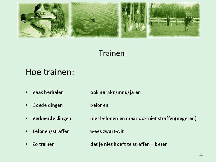 Inschrijfavond Trainen: Hoe trainen: • Vaak herhalen ook na wkn/mnd/jaren • Goede dingen belonen