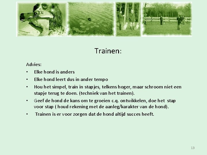 Inschrijfavond Trainen: Advies: • Elke hond is anders • Elke hond leert dus in