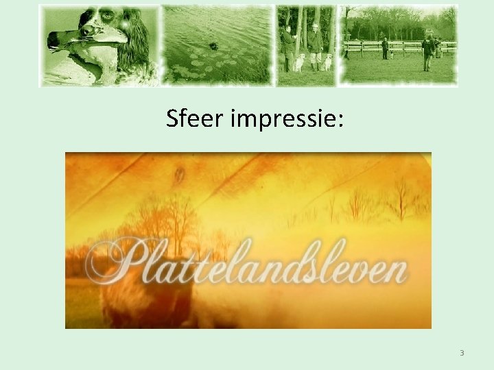 Inschrijfavond Sfeer impressie: 3 