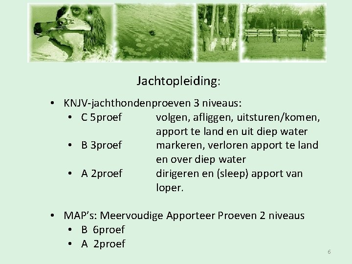 Inschrijfavond Jachtopleiding: • KNJV-jachthondenproeven 3 niveaus: • C 5 proef volgen, afliggen, uitsturen/komen, apport