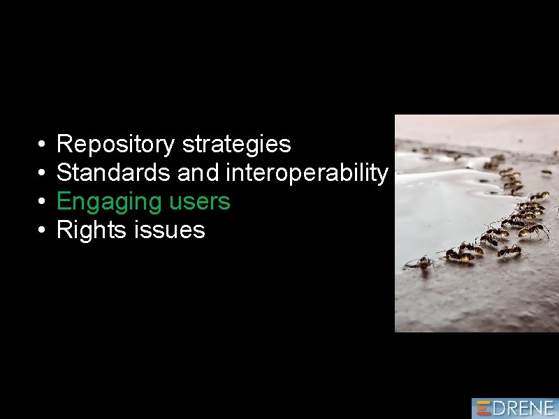  • • Repository strategies Standards and interoperability Engaging users Rights issues 