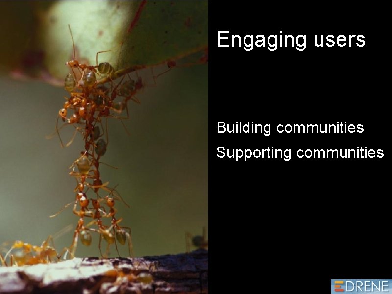 Engaging users Building communities Supporting communities 