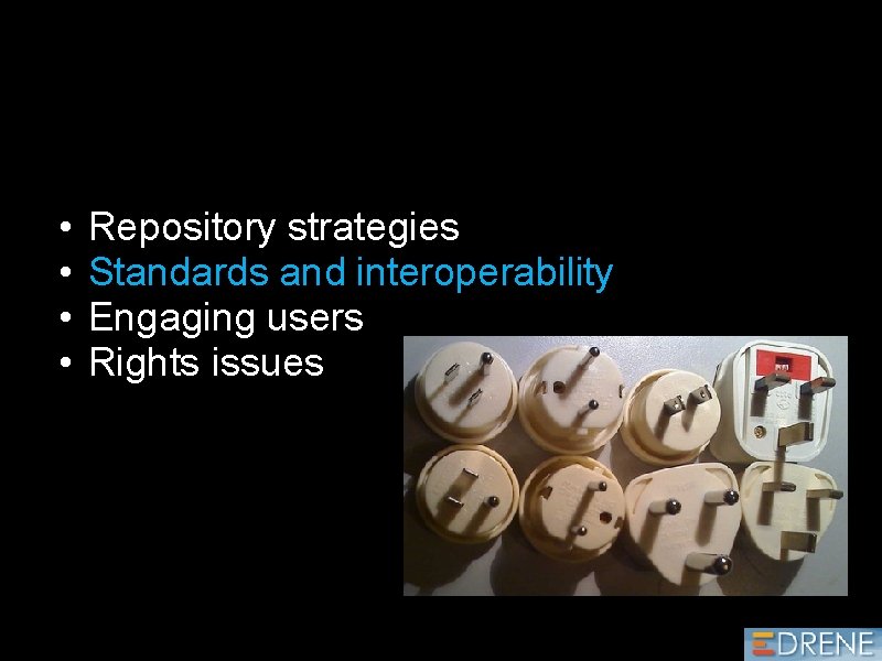  • • Repository strategies Standards and interoperability Engaging users Rights issues 