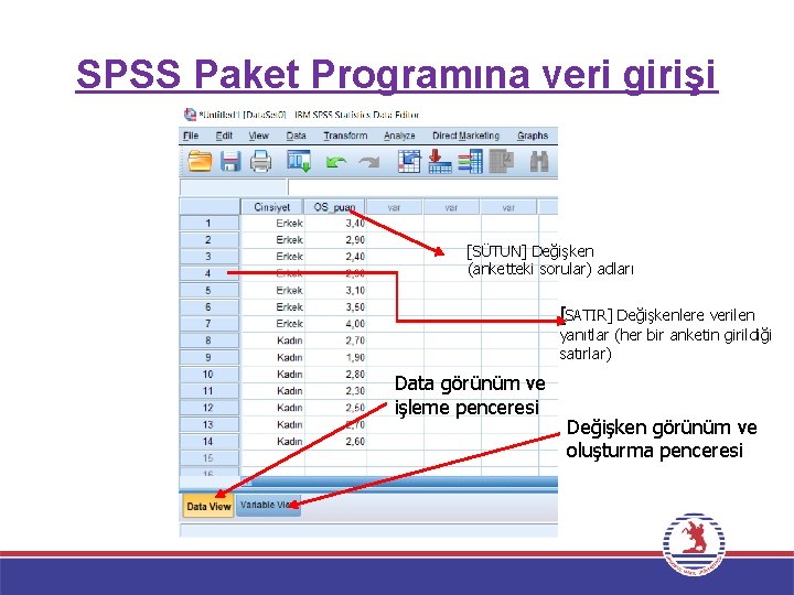 SPSS Paket Programına veri girişi [SÜTUN] Değişken (anketteki sorular) adları [SATIR] Değişkenlere verilen yanıtlar