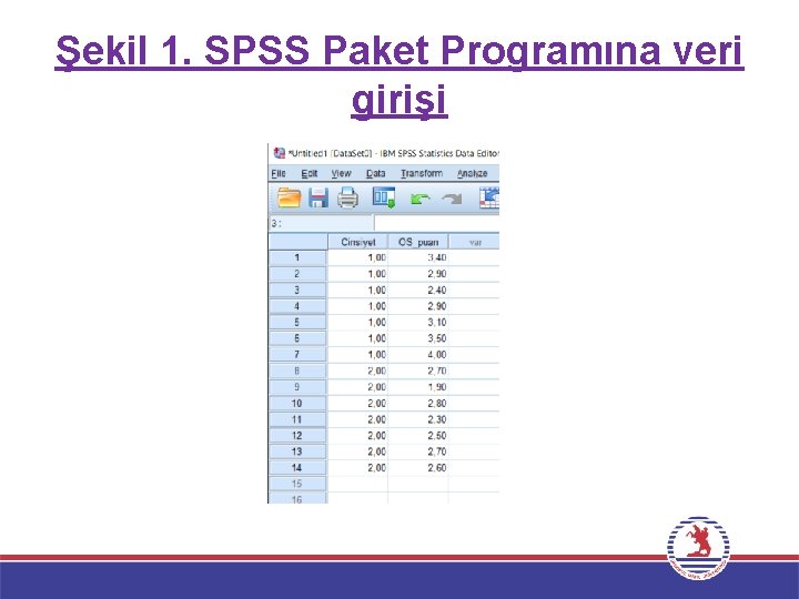 Şekil 1. SPSS Paket Programına veri girişi 