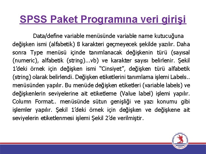 SPSS Paket Programına veri girişi Data/define variable menüsünde variable name kutucuğuna değişken ismi (alfabetik)