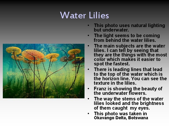 Water Lilies • This photo uses natural lighting but underwater. • The light seems