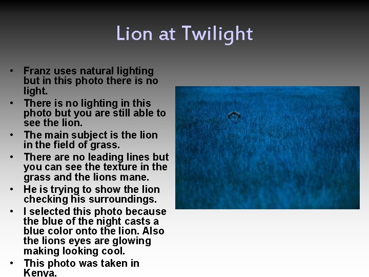 Lion at Twilight • Franz uses natural lighting but in this photo there is