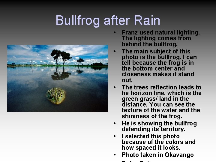 Bullfrog after Rain • Franz used natural lighting. The lighting comes from behind the