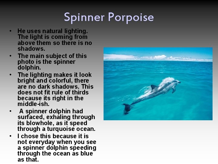 Spinner Porpoise • He uses natural lighting. The light is coming from above them