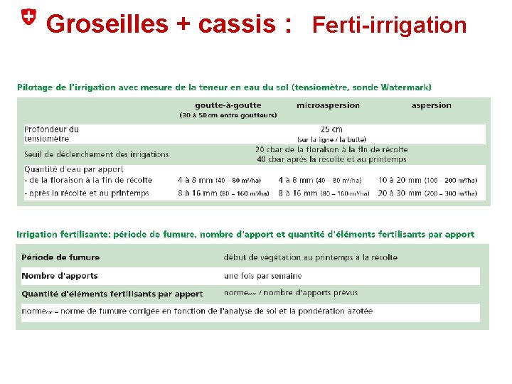 Groseilles + cassis : Ferti-irrigation 