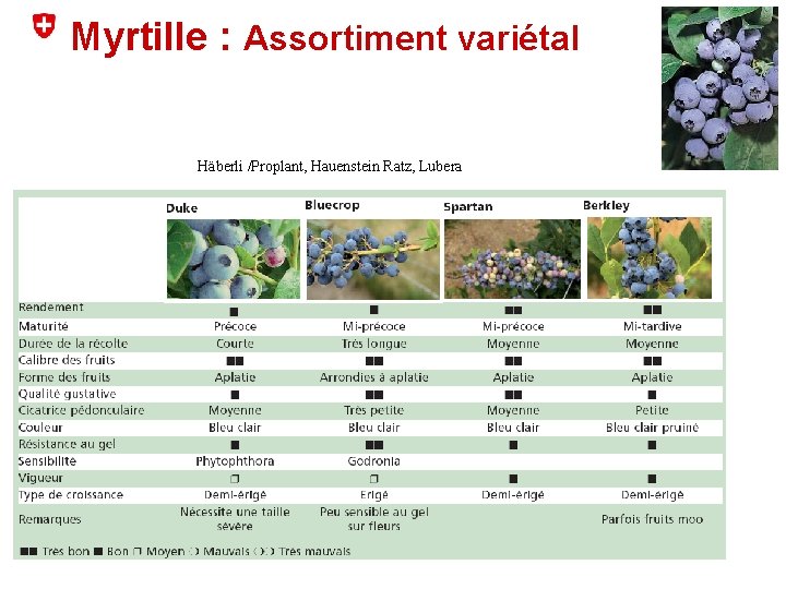 Myrtille : Assortiment variétal Häberli /Proplant, Hauenstein Ratz, Lubera 
