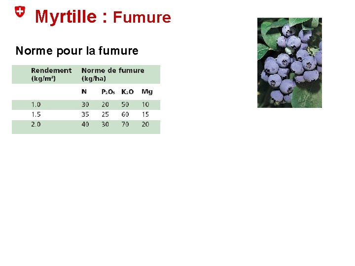 Myrtille : Fumure Norme pour la fumure 