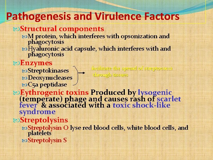 Pathogenesis and Virulence Factors Structural components M protein, which interferes with opsonization and phagocytosis