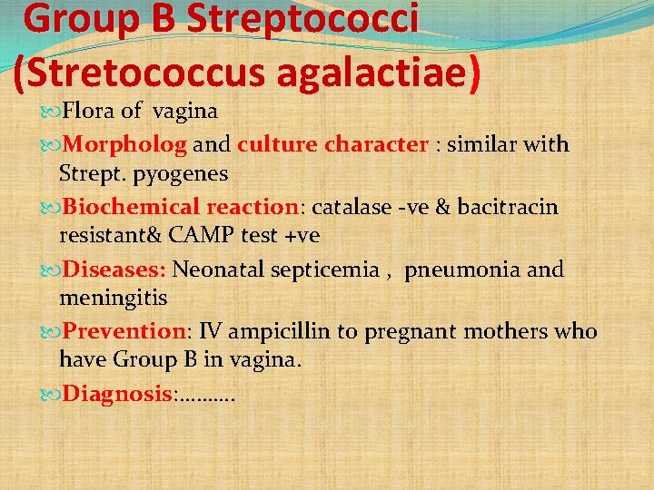 Group B Streptococci (Stretococcus agalactiae) Flora of vagina Morpholog and culture character : similar