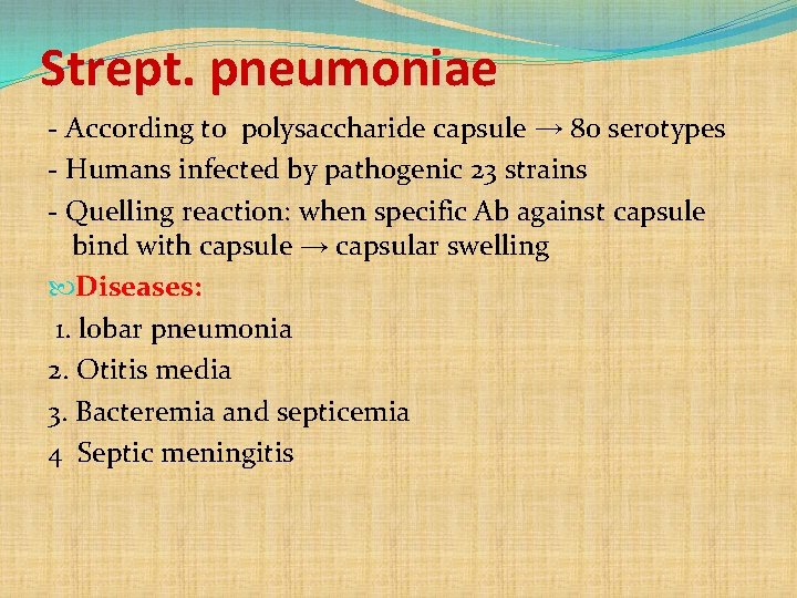 Strept. pneumoniae - According to polysaccharide capsule → 80 serotypes - Humans infected by