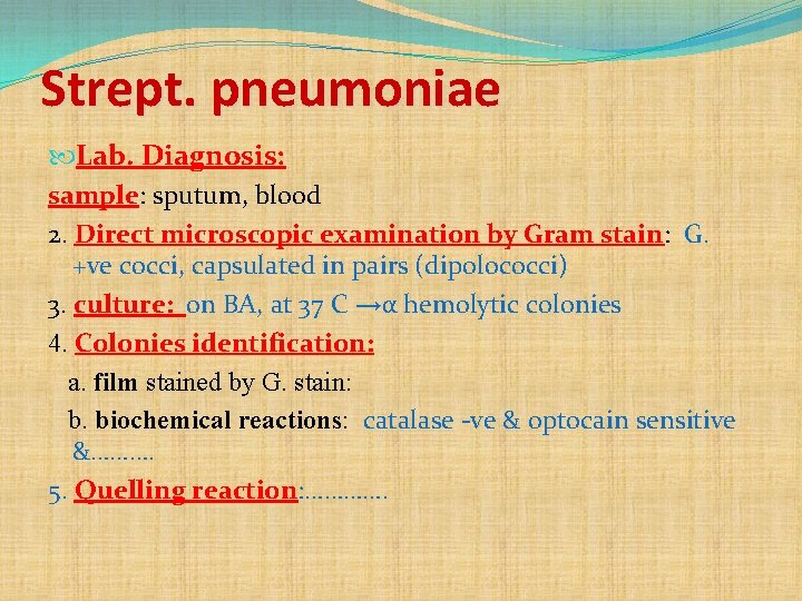 Strept. pneumoniae Lab. Diagnosis: sample: sputum, blood 2. Direct microscopic examination by Gram stain: