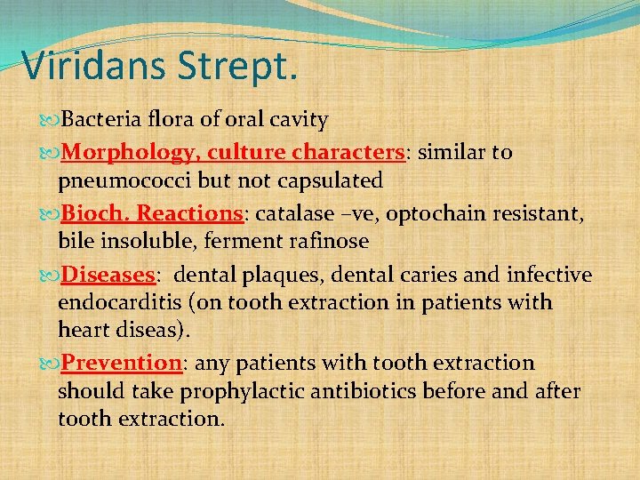 Viridans Strept. Bacteria flora of oral cavity Morphology, culture characters: similar to pneumococci but