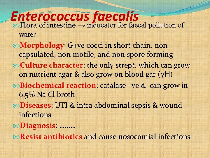 Enterococcus faecalis Flora of intestine → inducator faecal pollution of water Morphology: G+ve cocci