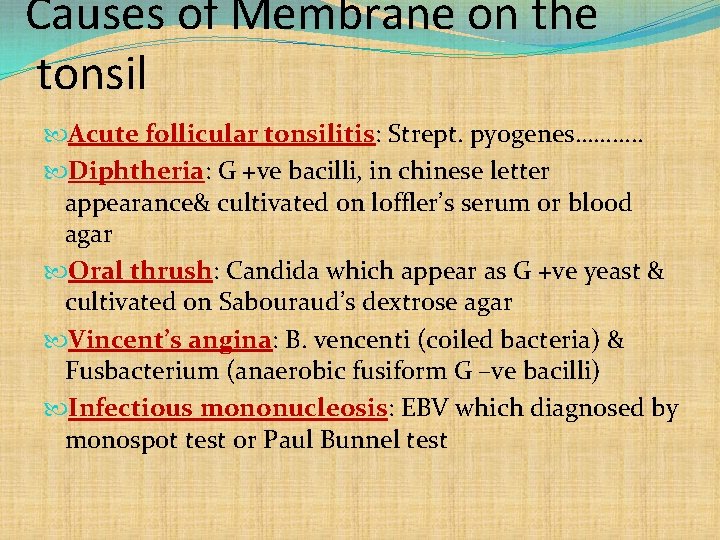 Causes of Membrane on the tonsil Acute follicular tonsilitis: Strept. pyogenes………. . Diphtheria: G