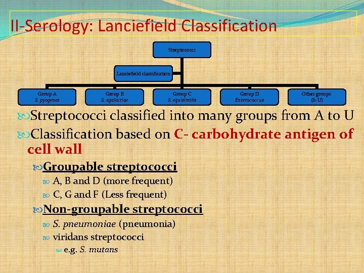 II-Serology: Lanciefield Classification Streptococci Lanciefield classification Group A S. pyogenes Group B S. agalactiae