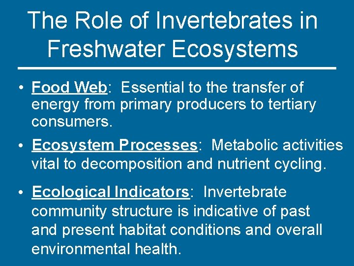 The Role of Invertebrates in Freshwater Ecosystems • Food Web: Essential to the transfer