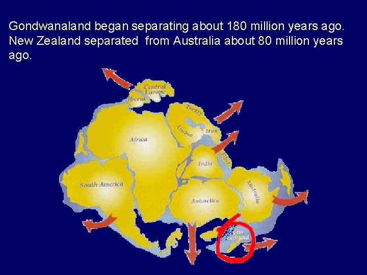 Gondwanaland began separating about 180 million years ago. New Zealand separated from Australia about