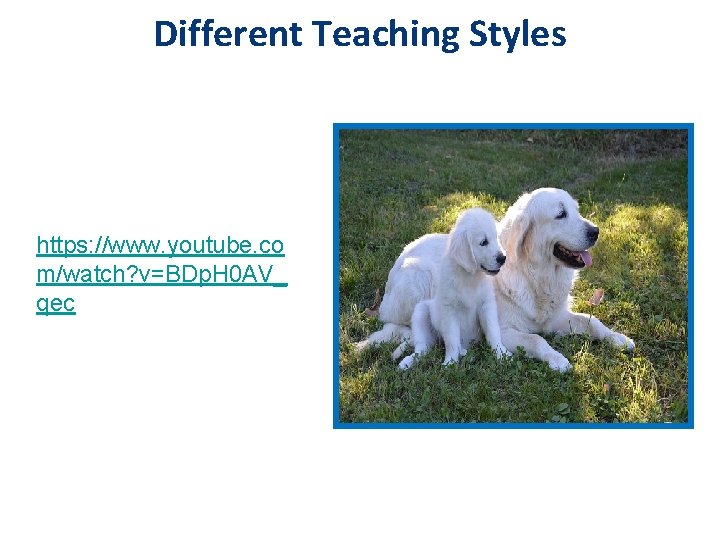Different Teaching Styles https: //www. youtube. co m/watch? v=BDp. H 0 AV_ qec 