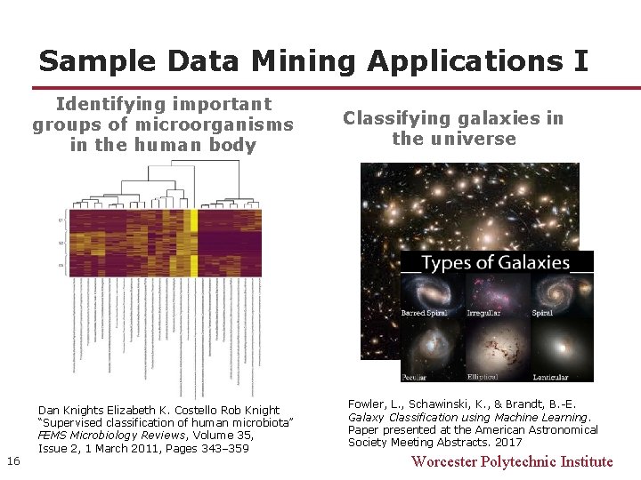 Sample Data Mining Applications I Identifying important groups of microorganisms in the human body Sample Data Mining Applications I Identifying important groups of microorganisms in the human body