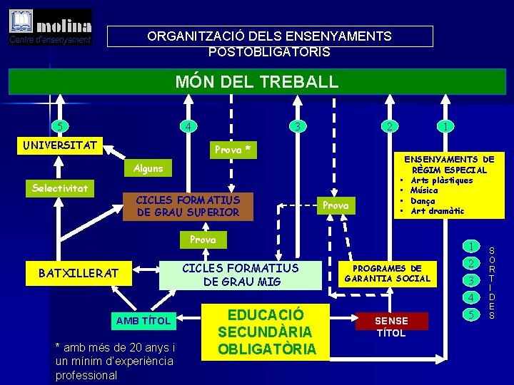 ORGANITZACIÓ DELS ENSENYAMENTS POSTOBLIGATORIS MÓN DEL TREBALL 5 4 UNIVERSITAT 3 2 Prova *