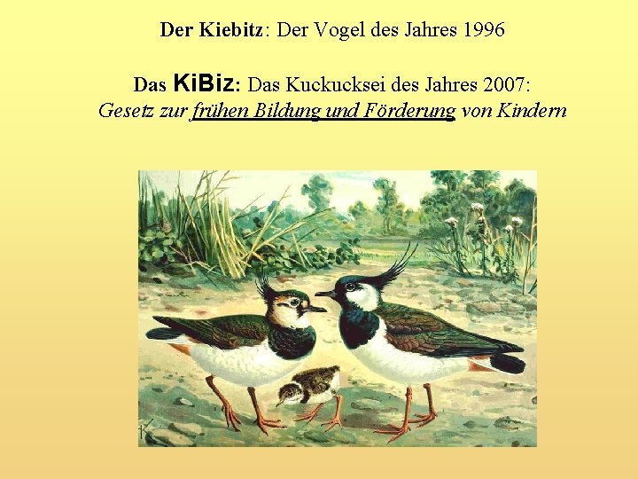 Der Kiebitz: Der Vogel des Jahres 1996 Das Ki. Biz: Das Kuckucksei des Jahres