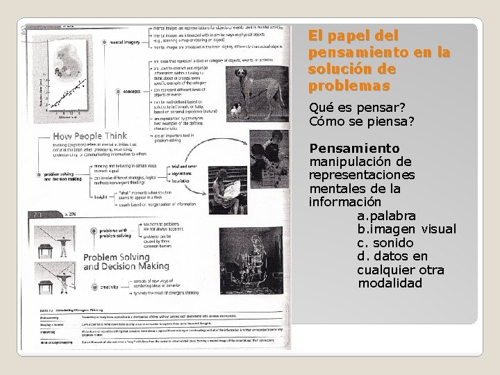 El papel del pensamiento en la solución de problemas Qué es pensar? Cómo se
